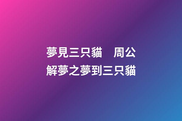 夢見三只貓　周公解夢之夢到三只貓